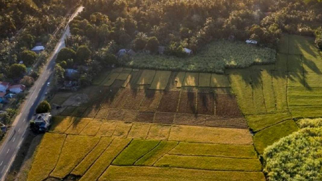 5 yıl emlak vergisi ve KDV ödemeden tapu sahibi olabilirsiniz: Milli Emlak'tan 13 bin liraya arsa fırsatı 4